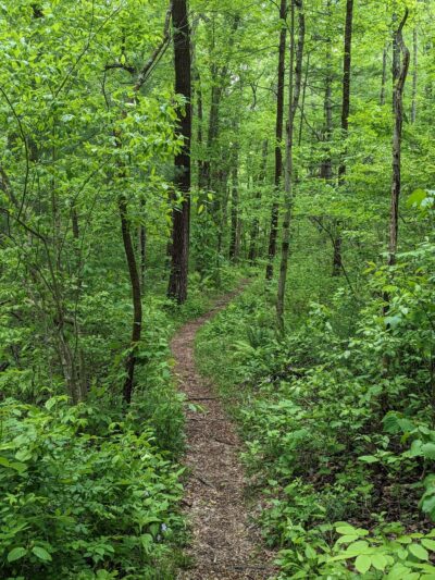 Pigeon Hill Preserve - Bristol, CT