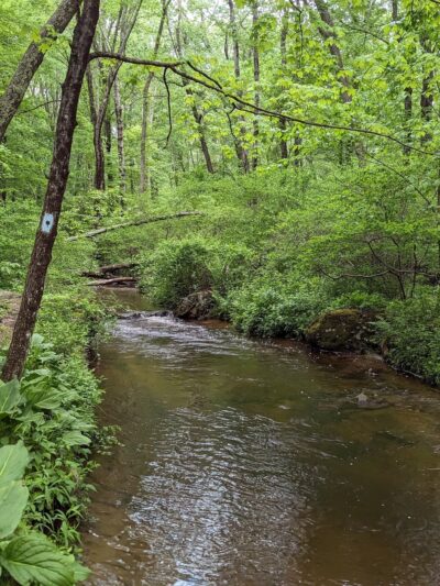 Pigeon Hill Preserve - Bristol, CT