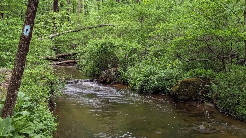 Pigeon Hill Preserve - Bristol, CT