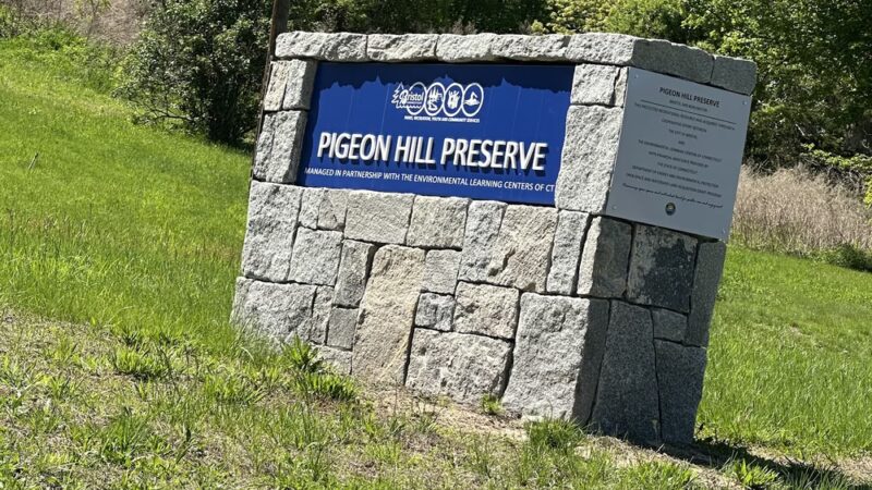Pigeon Hill Preserve - Bristol, CT