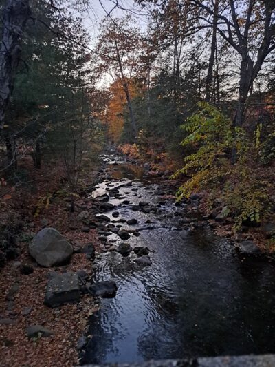 Pond At Rockwell Park - Bristol, CT