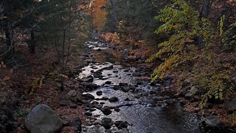 Pond At Rockwell Park - Bristol, CT
