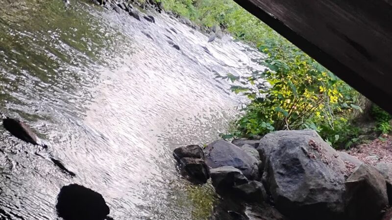 Pond At Rockwell Park - Bristol, CT
