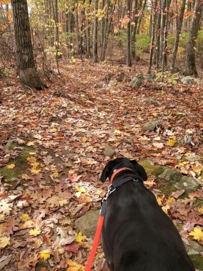 Tunxis Trail trailhead - Bristol, CT