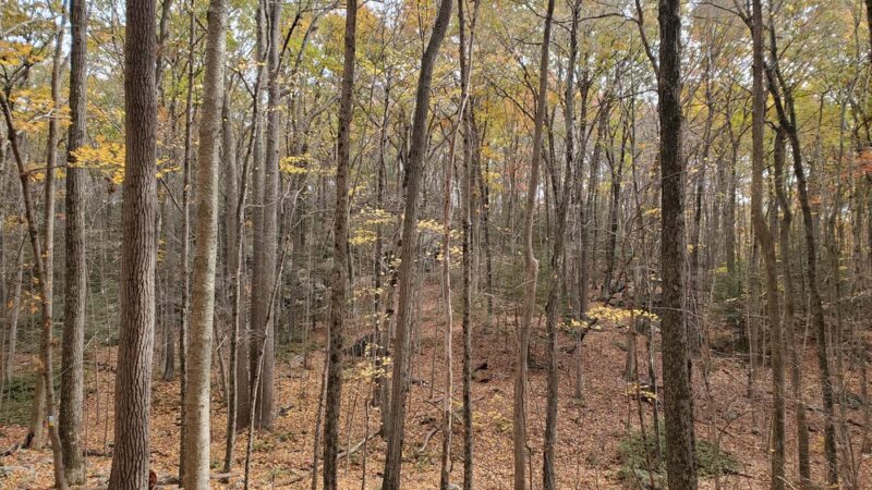 Tunxis Trail trailhead - Bristol, CT