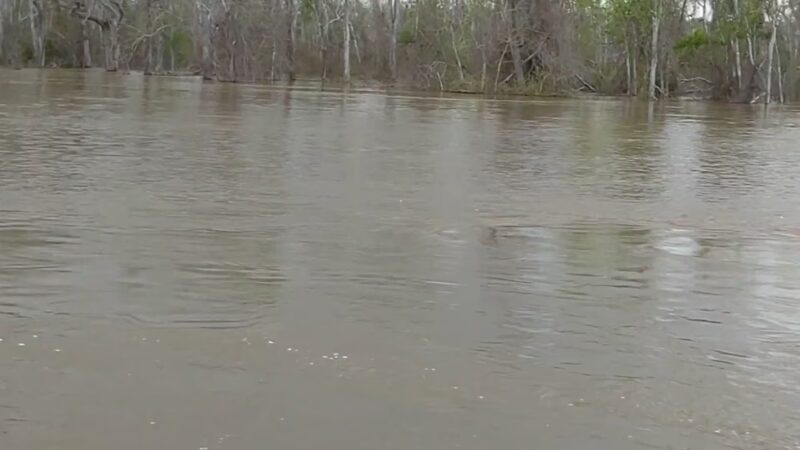 Bristol Landing - Bristol, FL