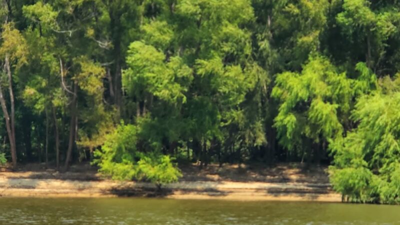 Bristol Landing - Bristol, FL