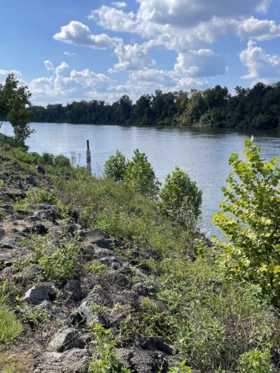 Bristol Landing - Bristol, FL