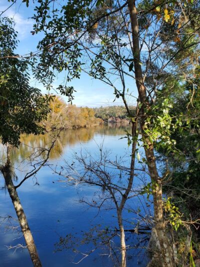Park - Bristol, FL