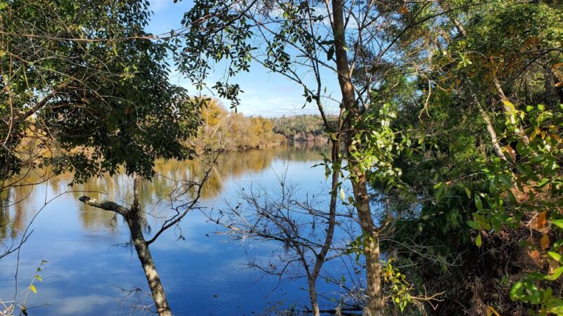 Park - Bristol, FL