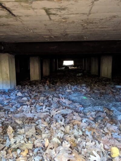 Delhaas Woods - Bristol, PA