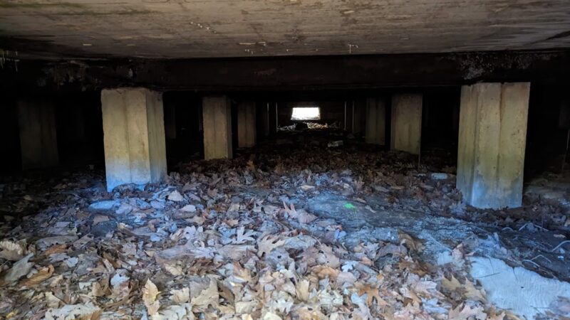 Delhaas Woods - Bristol, PA