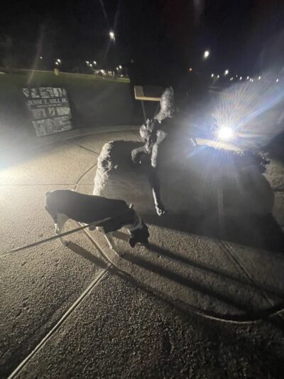 Pennsylvania War Dog Memorial - Bristol, PA