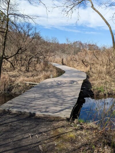 Silver Lake Nature Center - Bristol, PA