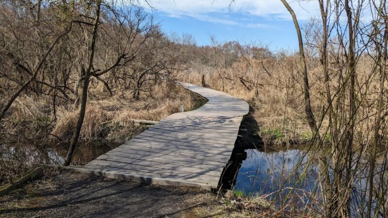 Silver Lake Nature Center - Bristol, PA