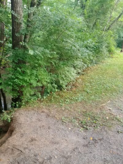 Charlie Robinette Park - Bristol, TN