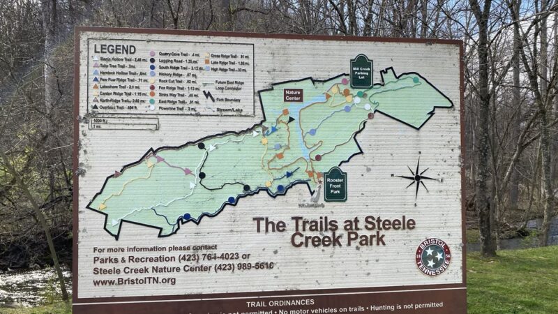 Rooster Front at Steele Creek Park - Bristol, TN