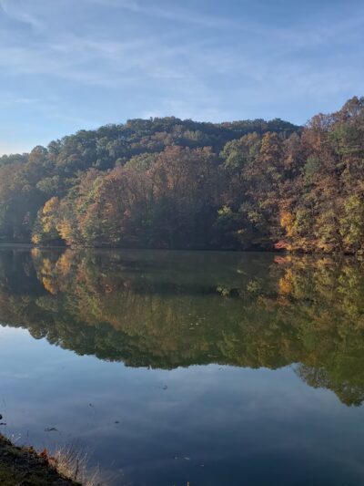 Rooster Front at Steele Creek Park - Bristol, TN