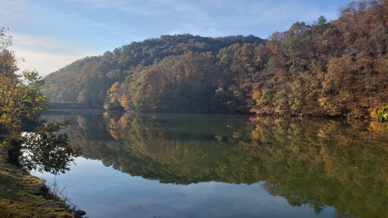 Rooster Front at Steele Creek Park - Bristol, TN