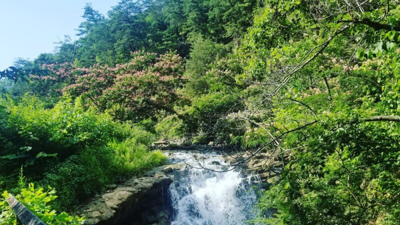 Steele Creek Park - Bristol, TN
