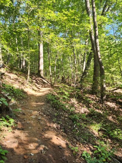Steele Creek Park - Bristol, TN