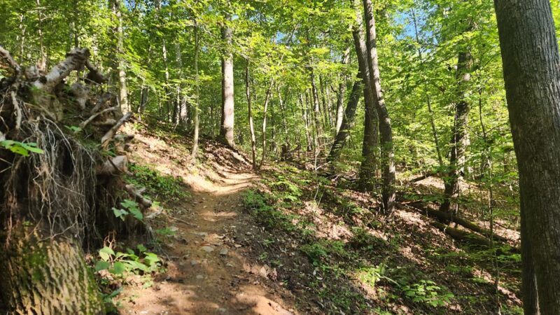 Steele Creek Park - Bristol, TN