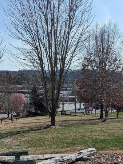 Windsor Park - Bristol, TN