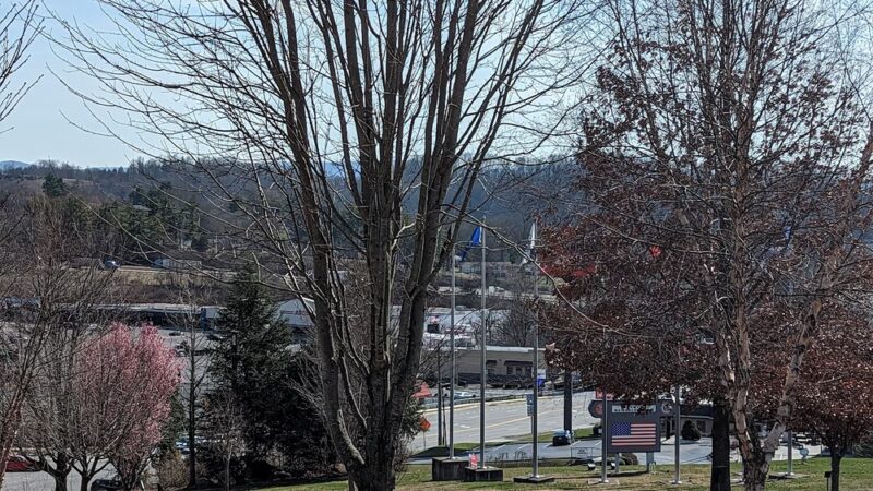 Windsor Park - Bristol, TN