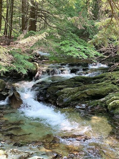Bristol Memorial Park - Bristol, VT