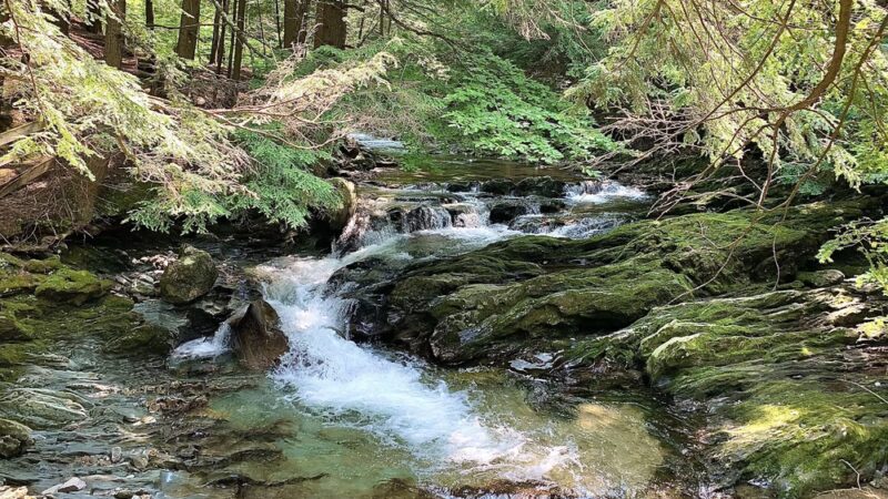Bristol Memorial Park - Bristol, VT