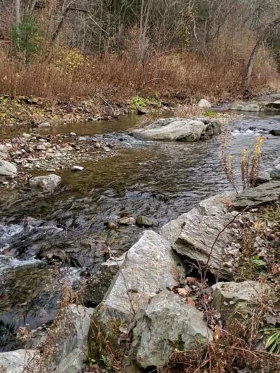 Bristol Memorial Park - Bristol, VT