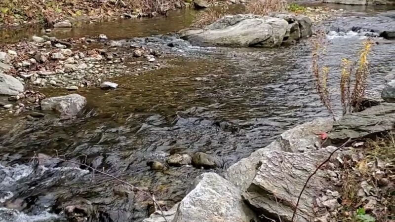 Bristol Memorial Park - Bristol, VT