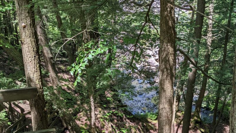 Bristol Memorial Park - Bristol, VT