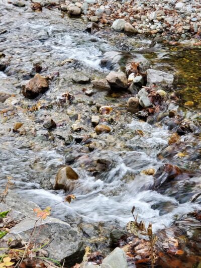 Bristol Memorial Park - Bristol, VT
