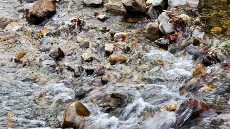Bristol Memorial Park - Bristol, VT
