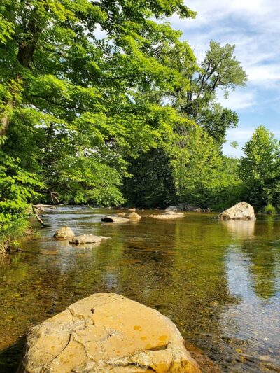 Sycamore Park - Bristol, VT