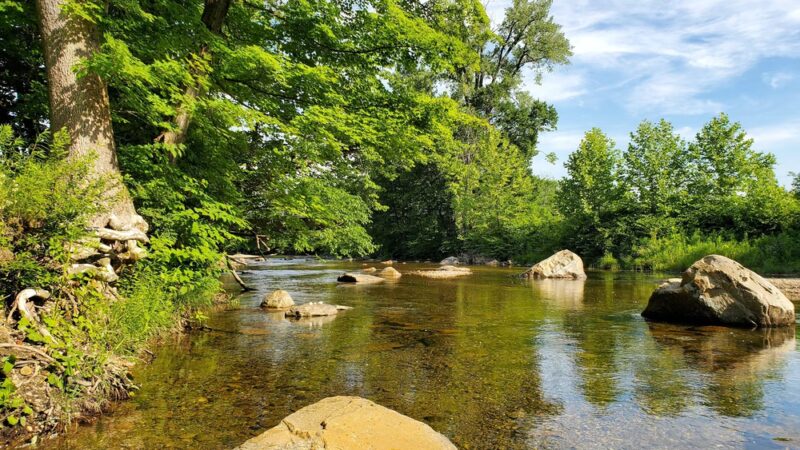 Sycamore Park - Bristol, VT