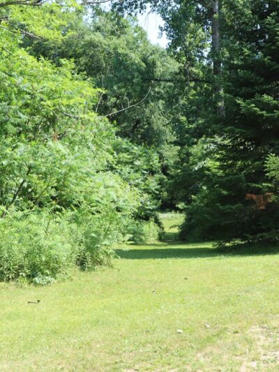 Sycamore Park - Bristol, VT