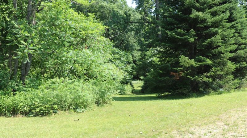 Sycamore Park - Bristol, VT