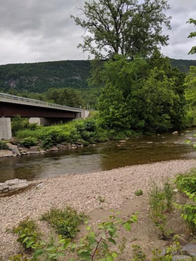 Sycamore Park - Bristol, VT