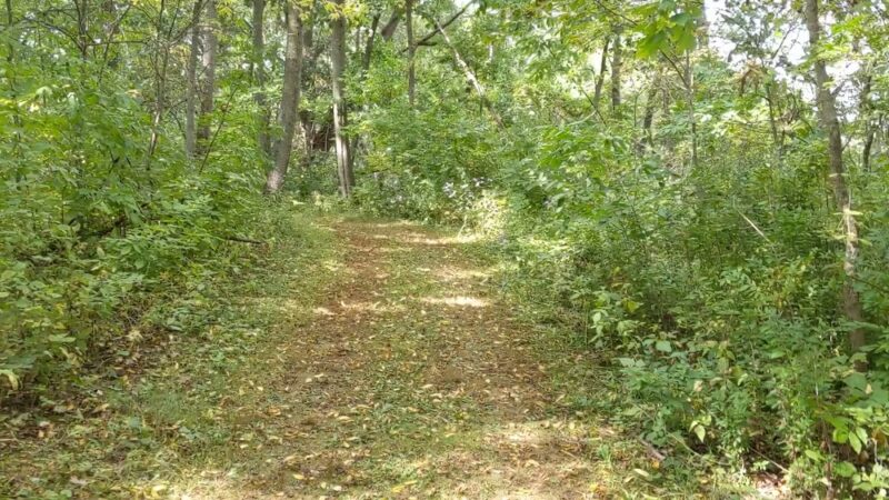 Bristol Woods County Park - Bristol, WI