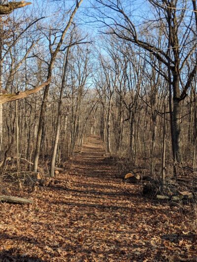 Bristol Woods County Park - Bristol, WI