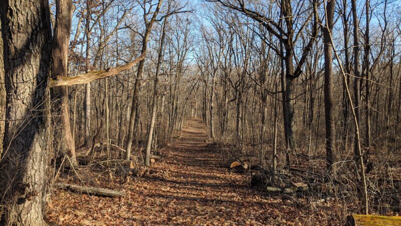 Bristol Woods County Park - Bristol, WI