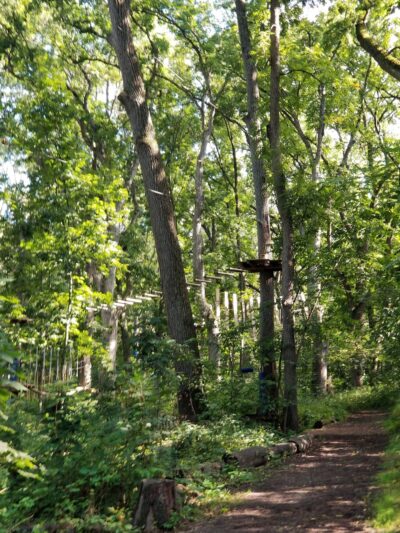 Bristol Woods County Park - Bristol, WI