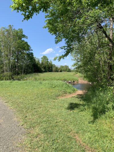 Braemar Nature Trail - Bristow, VA