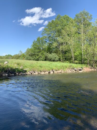 Braemar Nature Trail - Bristow, VA