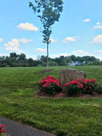 Clareybrook Park - Bristow, VA