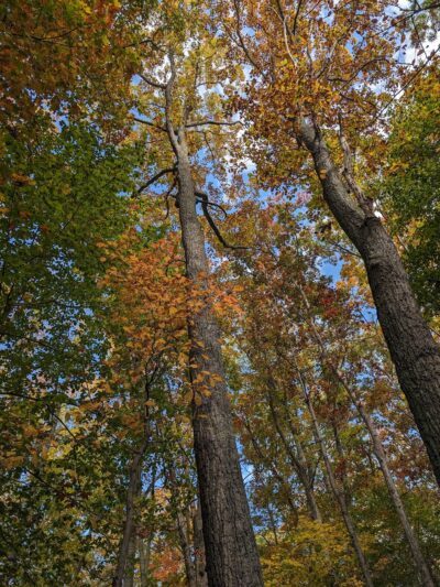 Bull Run Mountains Conservancy - Broad Run, VA