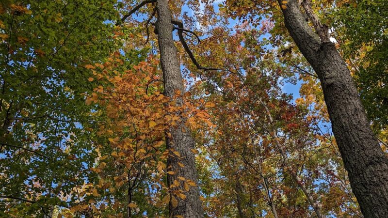 Bull Run Mountains Conservancy - Broad Run, VA