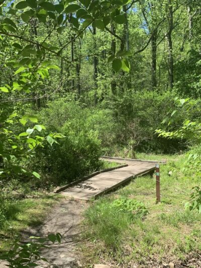 Bull Run Mountains Natural Area Preserve - Virginia Outdoors Foundation - Broad Run, VA